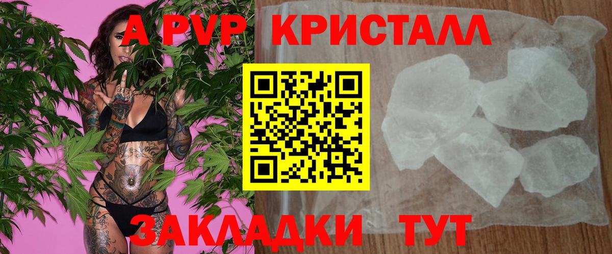 A-PVP СК КРИС Дзержинск