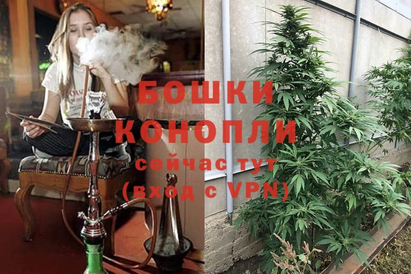 гидра Пестово