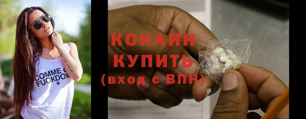 крисы Пересвет