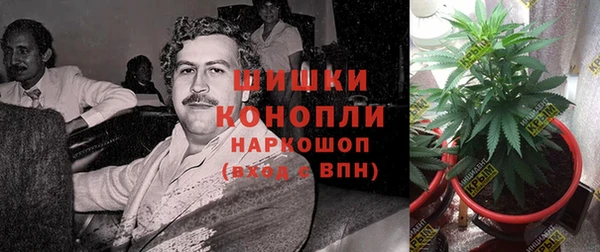 крисы Пересвет