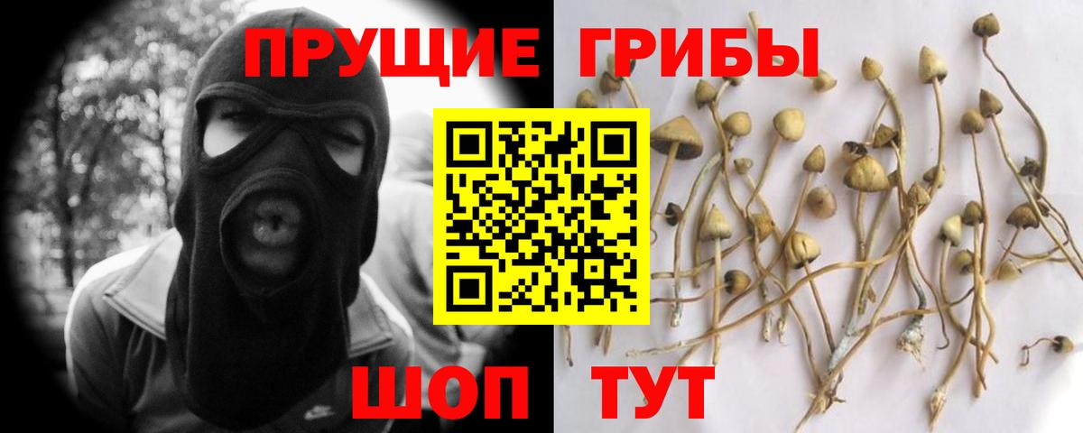 Галлюциногенные грибы ЛСД  Галлюциногенные грибы мицелий  Дзержинск  Вход с VPN 